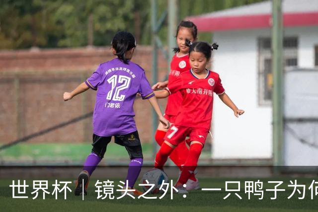 世界杯｜镜头之外：一只鸭子为何火遍世界杯？