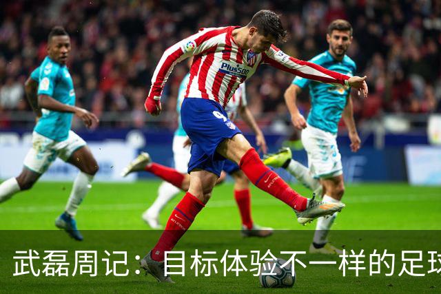 武磊周记：目标体验不一样的足球 这是追寻的意义