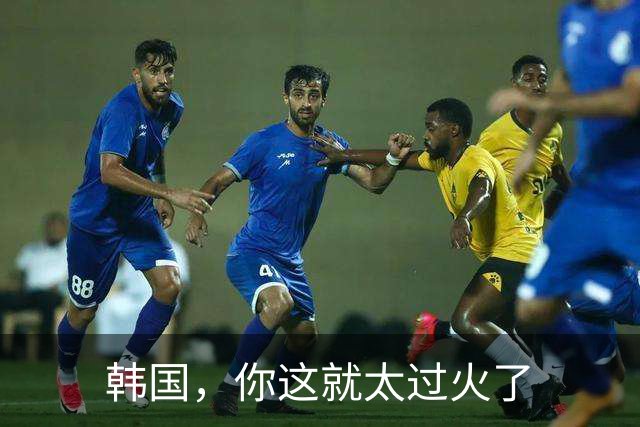 韩国，你这就太过火了